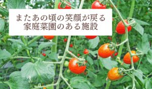 家庭菜園のある施設